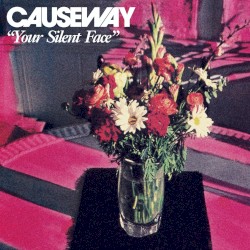 Your Silent Face