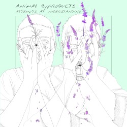 Attempts at Understanding