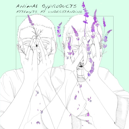 Attempts at Understanding