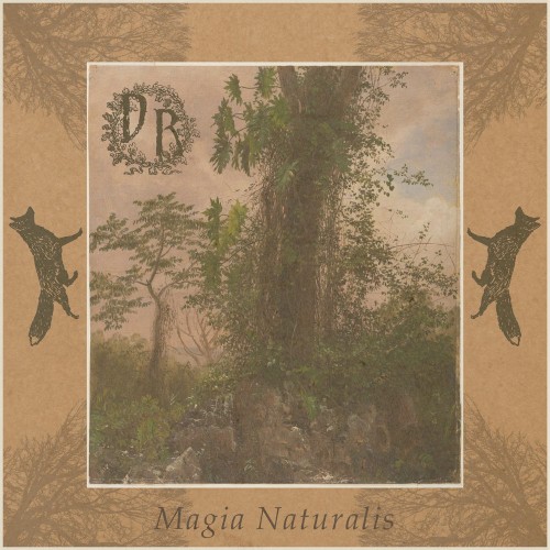 Magia Naturalis