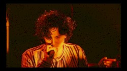 "死ぬのがいいわ" Live at Nippon Buddokan