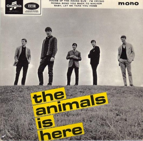 The Animals Is Here