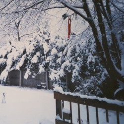 Crowded Lodge