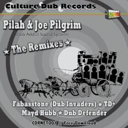The Remixes