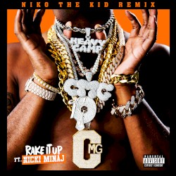 Rake It Up (Niko the Kid remix)