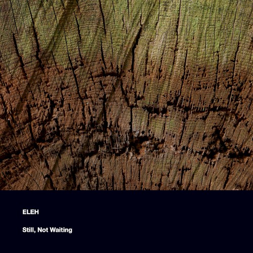Still, Not Waiting