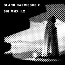 Black Narcissus X