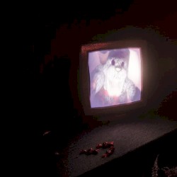 [untitled]