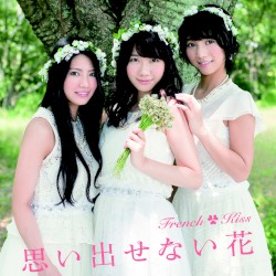 思い出せない花