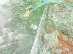Freeroam 142 :: Real-Light Relations From the Second Meeting Which Now Achieved Near Doubleweek Transcendence X -- "Poolbook"