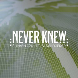 Never Knew