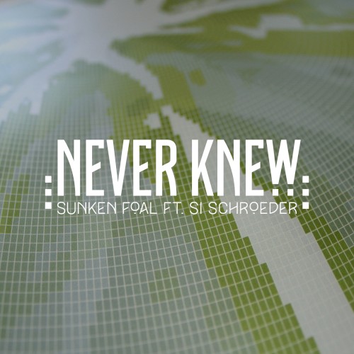 Never Knew