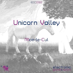 Unicorn Valley