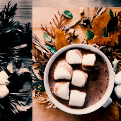 S’mores & Hot Chocolate