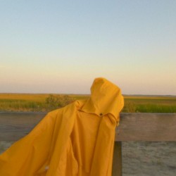 july