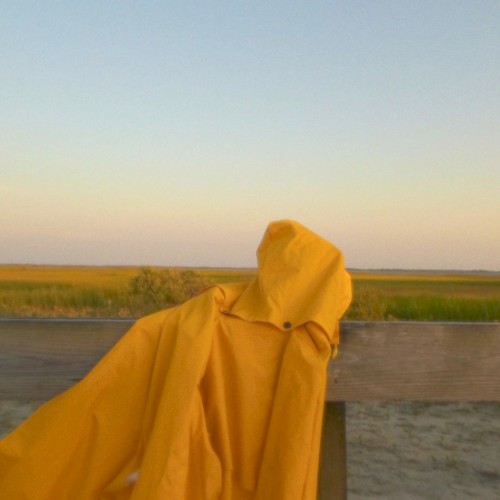july