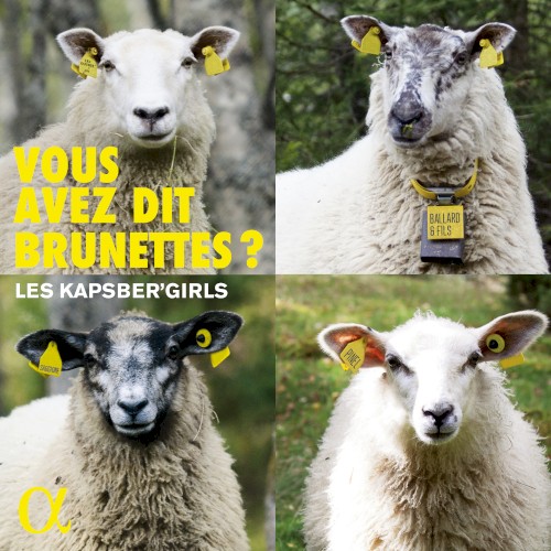 Vous avez dit Brunettes ?