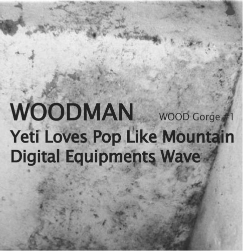 『山が鼾をかいてるうちに』 / Yeti Loves Pop Like Mountain Digital Equipments Wave