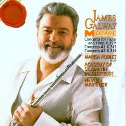 Flute Concertos