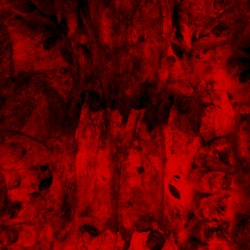Red Marrow: The Re-Mixes and Interpretations