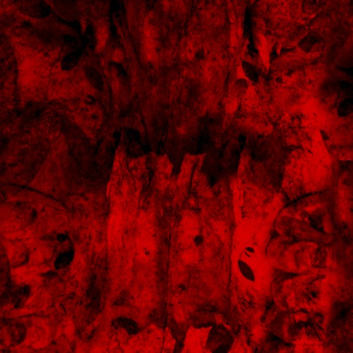 Red Marrow: The Re-Mixes and Interpretations