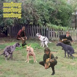 metdog