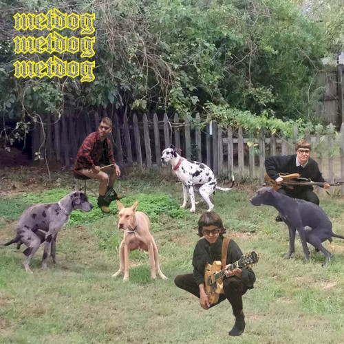 metdog