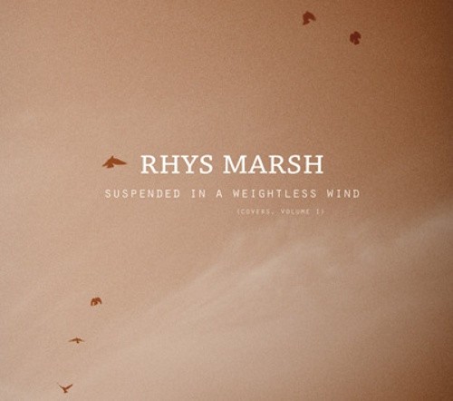 Suspended in a Weightless Wind (Covers, Volume I)