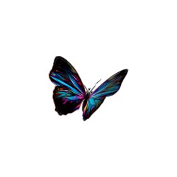 🦋