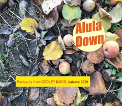 Postcards from Godley Moor, Autumn 2020
