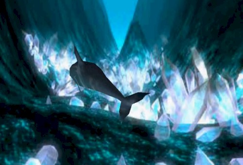 Aquarium III