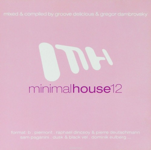Minimal House 12
