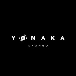 Drongo