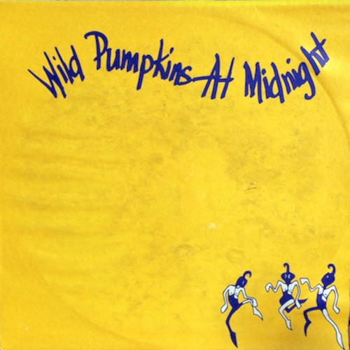 Wild Pumpkins At Midnight