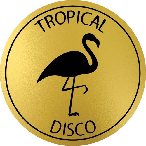 Tropical Disco Edits Volume 10