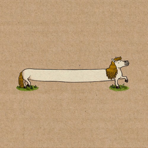 The Longest Pony