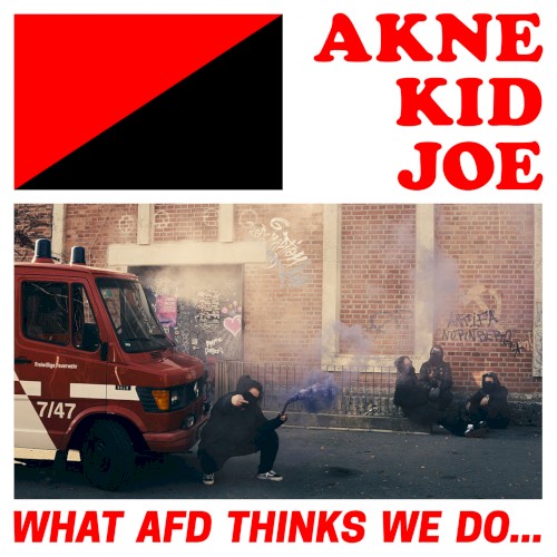 What AfD Thinks We Do...