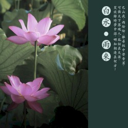 雨来