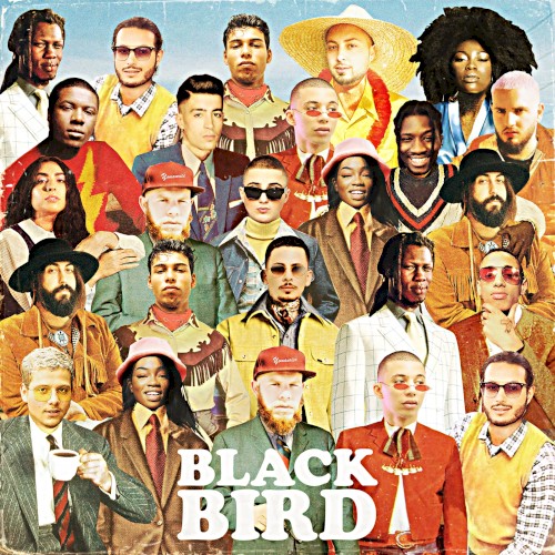 Blackbird