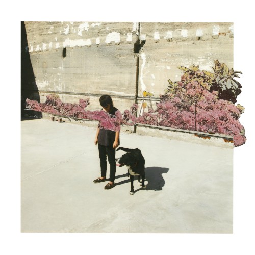 Shields EP