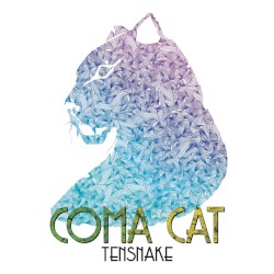 Coma Cat