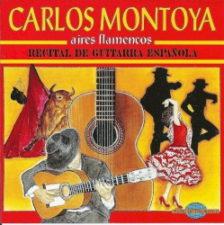 Aires Flamencos: Recital de guitarra Española