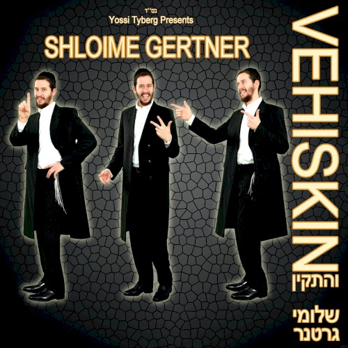 Vehiskin