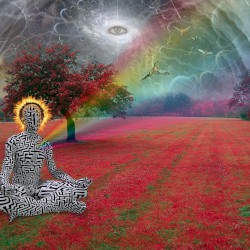 mass unreality