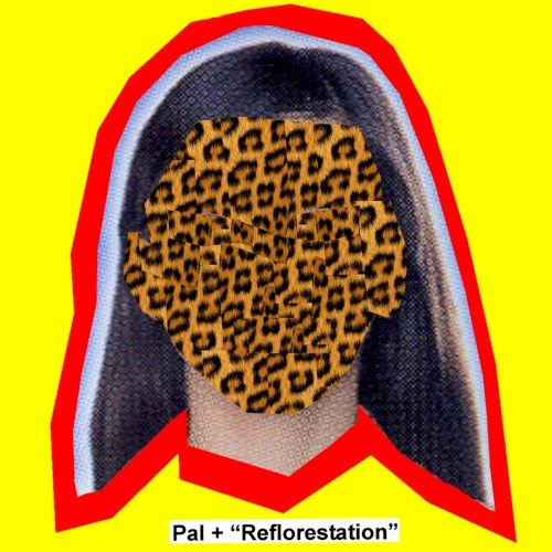 Reforestation