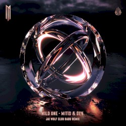 Wild One (Jai Wolf Club Babu Remix)