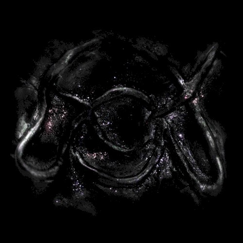 UFONY