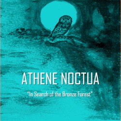 In Search of the Bronze Forest