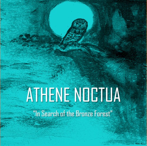 In Search of the Bronze Forest