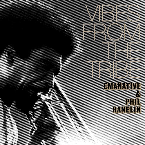 Vibes From the Tribe